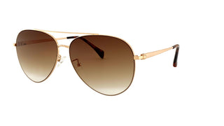 Sunglasses 51015, brown/gold