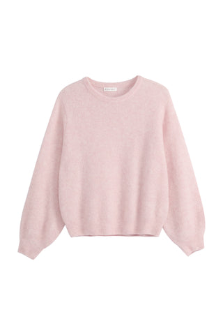 Montine neule, rose